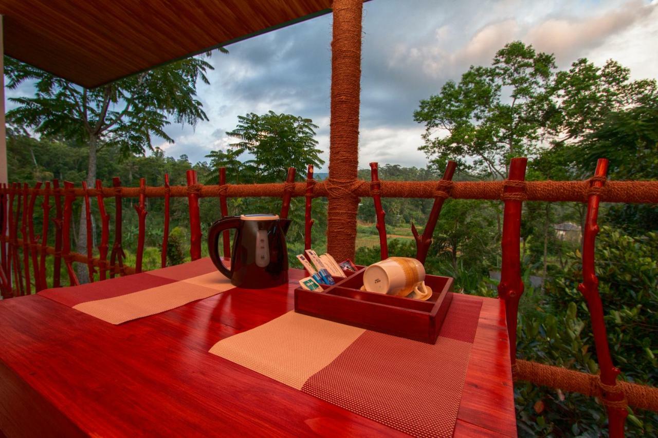Ella Breeze Homestay المظهر الخارجي الصورة